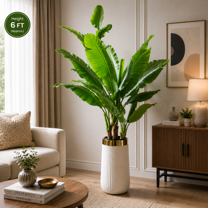 Artificial Banana Plant with Premium White & Gold Planter 6 FT